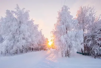 Зимнее утро | Мороз и солнце, день чудесный! | А. С. Пушкин | Счастье во  Мне | Дзен