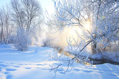 Иллюстрации к стихотворению \"Зимнее утро\" Пушкина (75 фото) • Прикольные  картинки и позитив