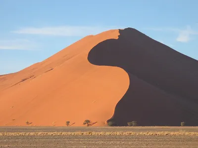 Новое исследование показало, что пустыня Сахара периодически становится  зеленой - МЕТА