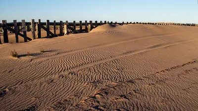 Самая красивая пустыня в мире