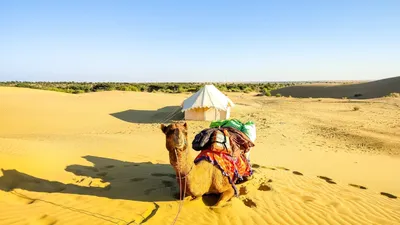 Аравийская пустыня и ксерические кустарники Восточной Сахары и Аравии —  Википедия