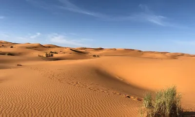 Пустыня — Minecraft Wiki
