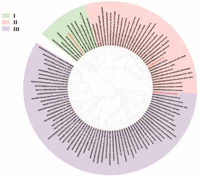 Patterned cPCDH expression regulates the fine organization of the neocortex  | Nature