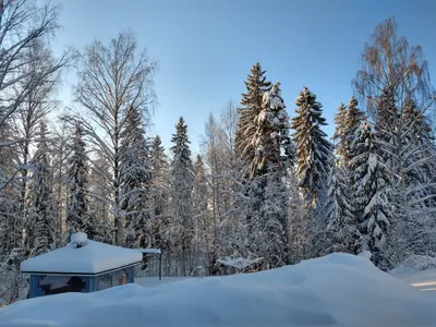 Рандомные фото из жизни в Финляндии | Пикабу