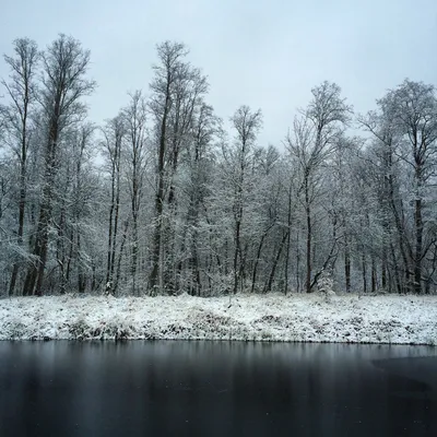 Обои ранняя зима - 57 фото