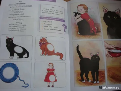 Игумен и я | Рассказ кошки Джоси | Сара Элизабет Кауи | Купить книгу в  православном интернет-магазине - 91 руб.