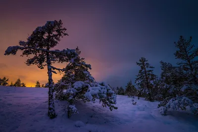 Рассвет зимой - 63 фото