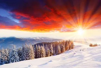 Картинки Зима Природа лес снегу Пейзаж Рассветы и закаты Реки сезон