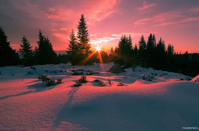 Зимний розовый рассвет (57 фото) - 57 фото
