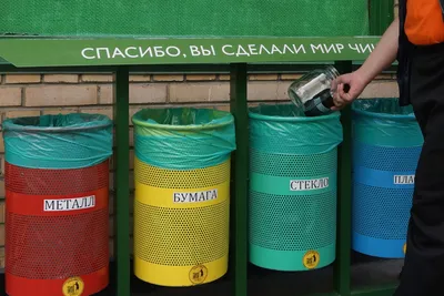 Москва определила сроки перехода на раздельный сбор мусора — РБК