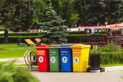 Раздельный сбор мусора — вклад каждого человека в сохранение окружающей  среды | Городской округ Жуковский