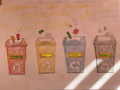 Почти 60 процентам населения России доступен раздельный сбор мусора |  Всероссийский Экологический Диктант