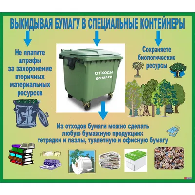 В Петербурге обещают радикально изменить схему раздельного сбора мусора —  РБК