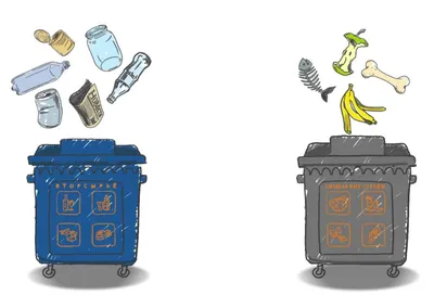 Раздельный сбор мусора – инициатива нужная и правильная: мнение жителей  региона
