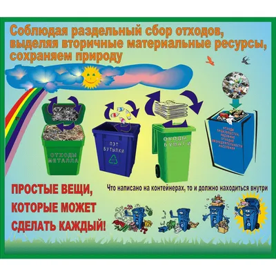 Раздельный сбор мусора. Лучший вариант для сортировки - tt-info.ru %