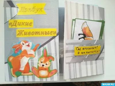 Разрезные картинки «Дикие животные» — купить в интернет-магазине по низкой  цене на Яндекс Маркете