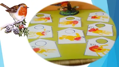 Лэпбук «Зимующие птицы» для детей младшего дошкольного возраста (14 фото).  Воспитателям детских садов, школьным учителям и педагогам - Маам.ру