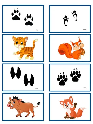 Развивающая игра для детей \"Изучаем следы животных\" | Следы животных, Жизнь  животных, Детские мероприятия