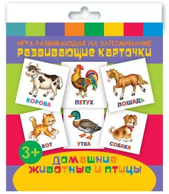 Карточки развивающие ДОМАШНИЕ ЖИВОТНЫЕ 47687 купить в Новосибирске -  интернет магазин Rich Family
