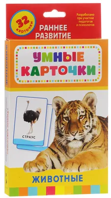 Животные. Развивающие карточки – Книжный интернет-магазин Kniga.lv Polaris