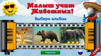Развивающие карточки для детей \" Дикие животные\" купить по цене 295 ₽ в  интернет-магазине KazanExpress