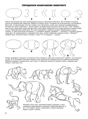 Какие животные умеют рисовать? | Природа | Общество | Аргументы и Факты