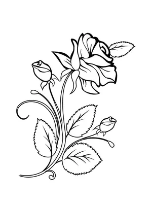 Полевые цветы рисунок акварелью Wild flowers watercolor drawing | Рисунок,  Цветы, Акварель