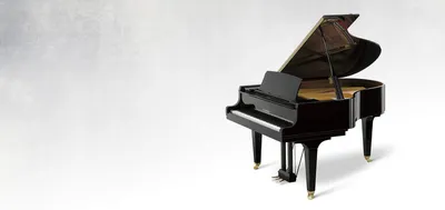 Белый рояль | Пианино, Дизайн-студии, Идеи домашнего декора