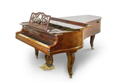 Music Piano Тексты песен, Красивый маленький черный рояль, мебель, ребенок  png | PNGEgg