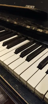 Самые интересные музыкальные инструменты Одессы: нарядный рояль Листа,  молчаливая фисгармония, синема-орган, цитра и бассетгорн (фото) | Новости  Одессы
