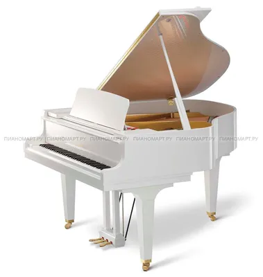 Концертный рояль — модели и цены - Дом роялей КлавирХаус