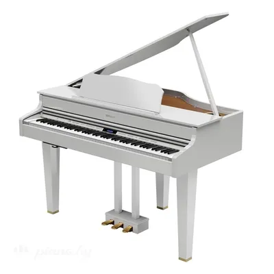 Цифровой рояль Yamaha CLP-795 GP купить в интернет-магазине Pianoplanet.ru  всего за 899 990 руб.