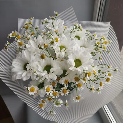 ромашковое утро в 2023 г | Летние цветы, Белые цветы, Цветы