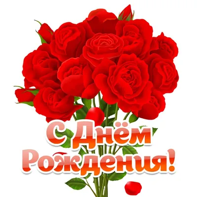 Красные розы: открытки с днем рождения - инстапик | Поздравительные  открытки, С днем рождения, Красные розы