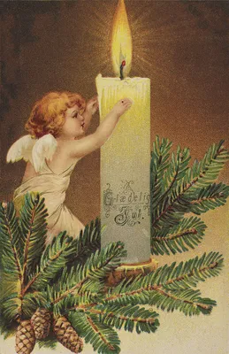 С Рождеством Христовым рождественская открытка с милым пингвином шаржа  Иллюстрация вектора - иллюстрации насчитывающей малыши, ель: 98932230
