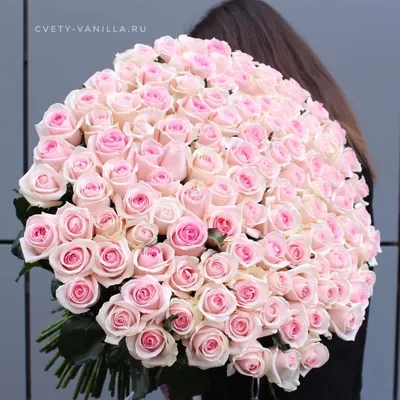 Розы бело-розовые 70см 25 шт ⋆ Букет вам 24