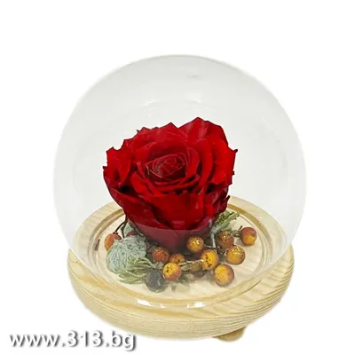 Купить Букет из кустовой розы \"Люблю тебя!\" с доставкой в Чехове,  Подольске, Серпухове