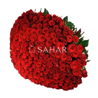 Купить букет из 11 крупных, ароматных роз в Щёлково с доставкой|Lilium