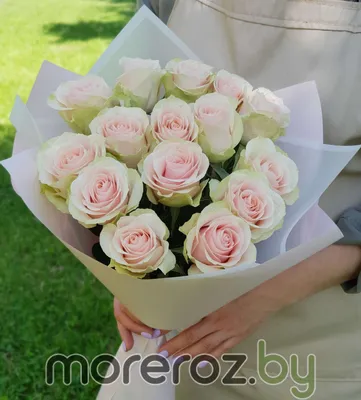 1️⃣ Букет красных роз 150 см Астана | Быстрая доставка по городу