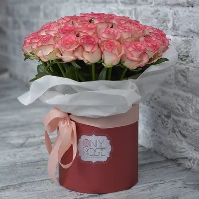 Красные розы в белой шляпной коробке ( 15 шт ) за 3276р. Позиция № 1665