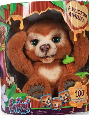 Hasbro Интерактивная мягкая игрушка FurReal Friends Русский мишка Е4591 -  «Красивый, дорогой, на один раз...» | отзывы