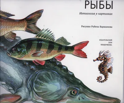 Картинки Рыба капля (39 шт.) - #12615
