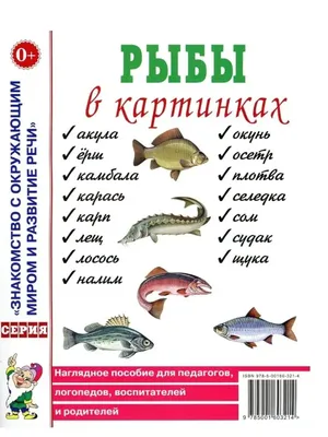картинки рыб рыбы