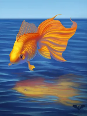 Рыбы. Ихтиология в картинках | Lookomorie