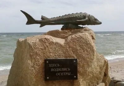 В Азовском море водились настоящие монстры: удивительные фото