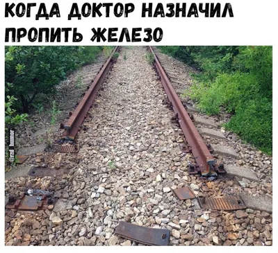Железная дорога - характеры крутые... в Мурманской области - Афиша на  Хибины.ru