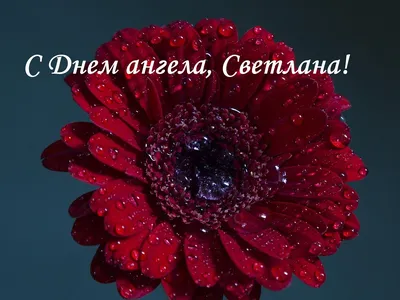 Открытки с днем ангела Светлана | otkritkiok.ru | Дзен