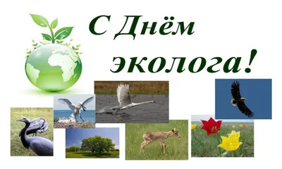 Российское экологическое общество поздравляет всех с Днем эколога! •  Российское экологическое общество