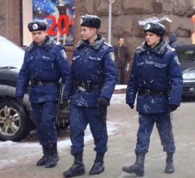 поздравлении с днём милиции украины｜TikTok Search