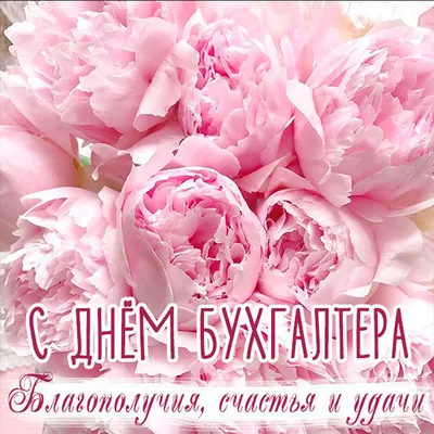 Pin by Наталья on Открытки | Flowers, Rose, Plants